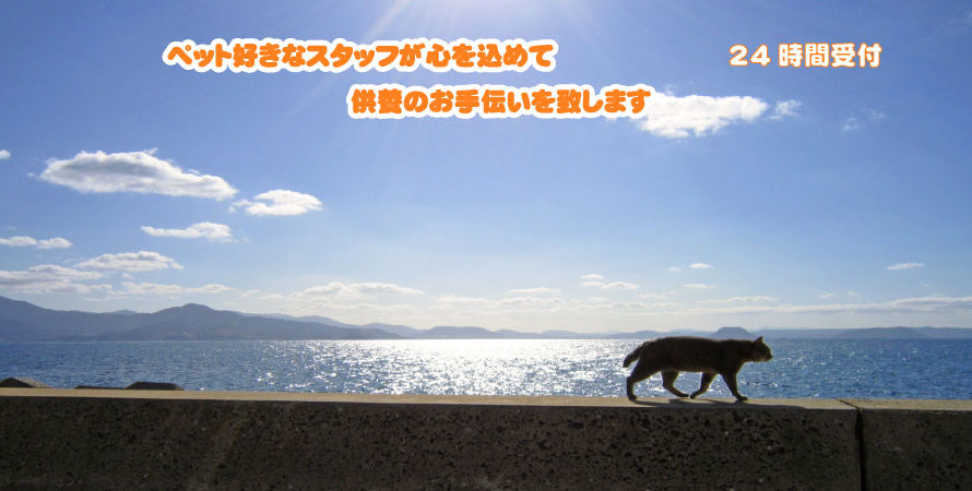 船井郡京丹波町のペット葬儀・ペット火葬はペットセレモニー舞鶴にお任せください。